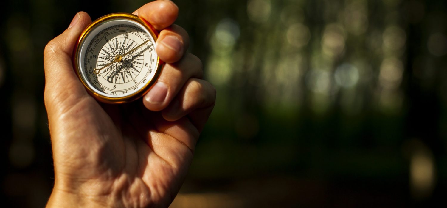 1000006276 (5616×3744)